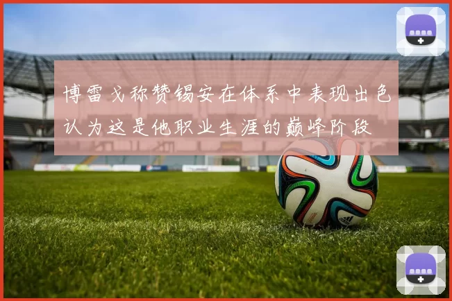 博雷戈称赞锡安在体系中表现出色认为这是他职业生涯的巅峰阶段